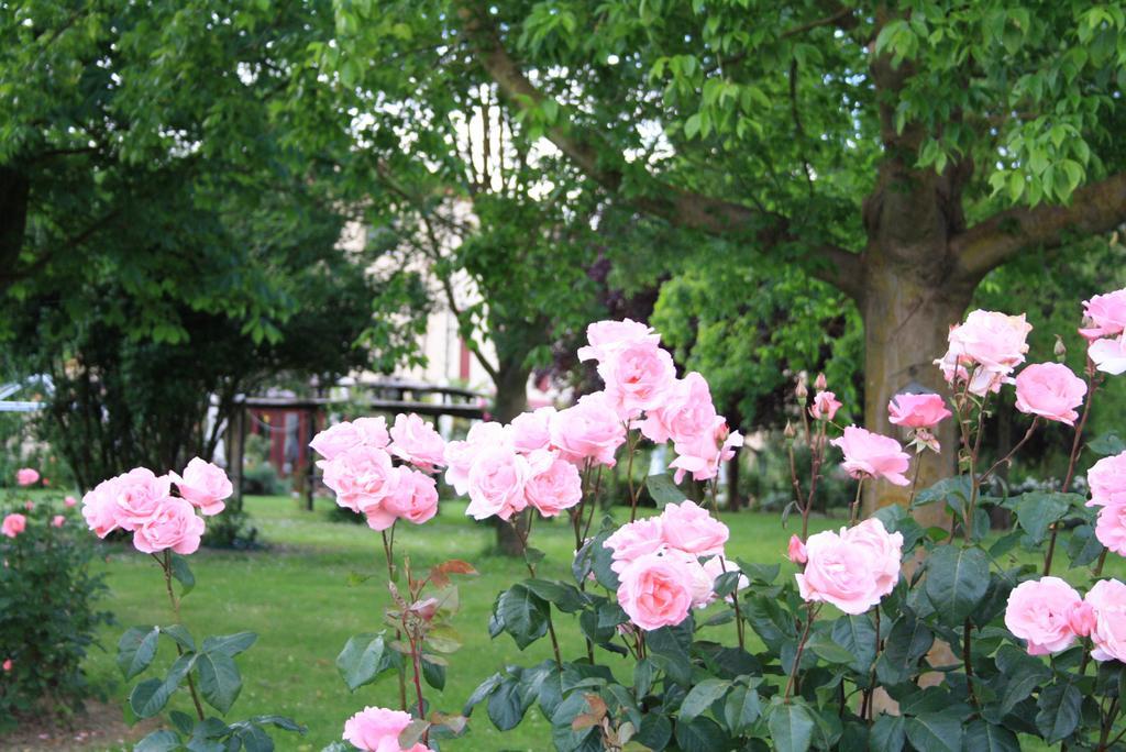 Villa Belfiore Ostellato Kültér fotó